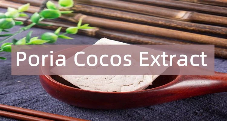 Poria Cocos Extract.png